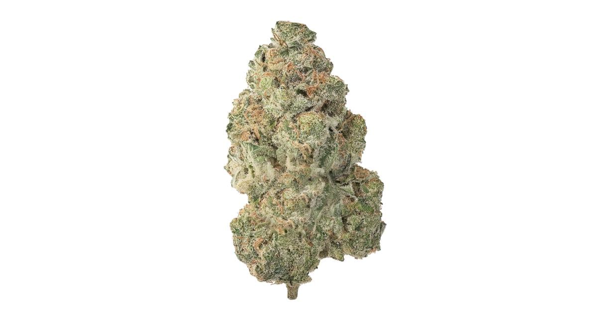 Flor da strain Gorilla Glue #4